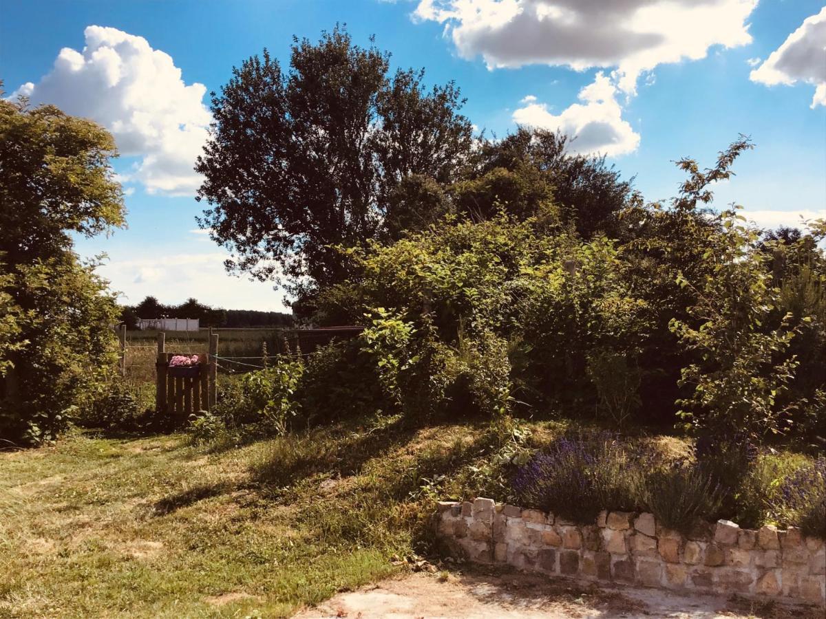 Le Chalet De La Ferme Du Tertre Villers-au-Tertre Szoba fotó