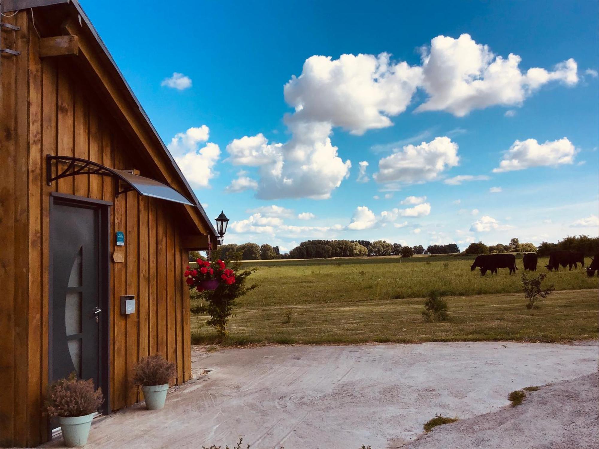 Le Chalet De La Ferme Du Tertre Villers-au-Tertre Szoba fotó
